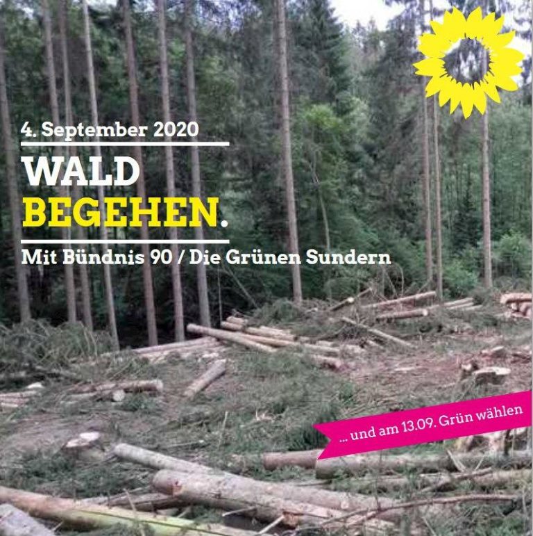 Ist unser Wald noch zu retten? Waldbegehung mit Förster